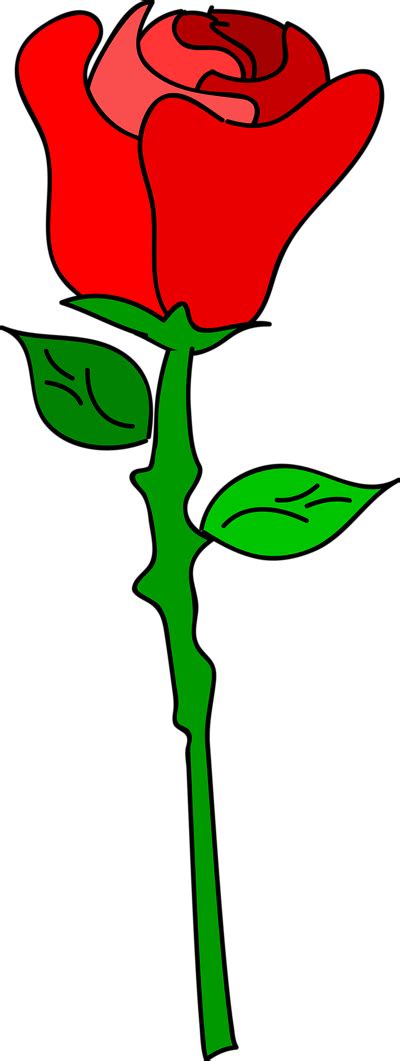 Cartoon Rose With Stem - ClipArt Best