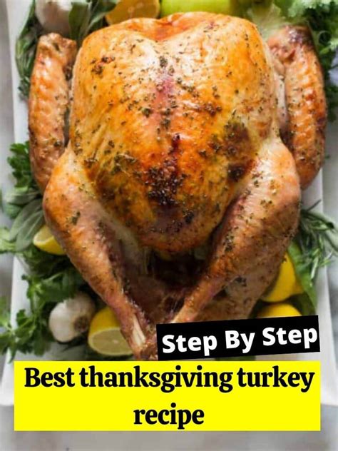 Best Thanksgiving Turkey Recipe How To Cook Guides