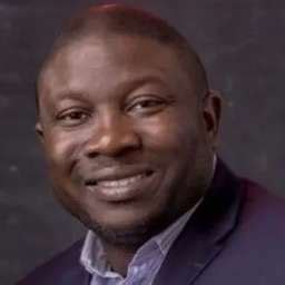 Bayo Adedeji Chief Executive Officer Wakanow Crunchbase Person