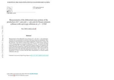 Measurements Of The Differential Cross Sections Of The Production Of Z