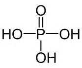 biochemistry - Chemistry of the phosphodiester bond in RNA - Biology Stack Exchange