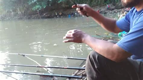 Mancing Umpan Lumut Strike Terus Spot Maron Selorejo Ngantang Youtube