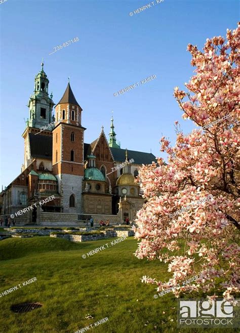 Poland Krakow Wawel Sigismund S Cathedral And Chapel As Part Of