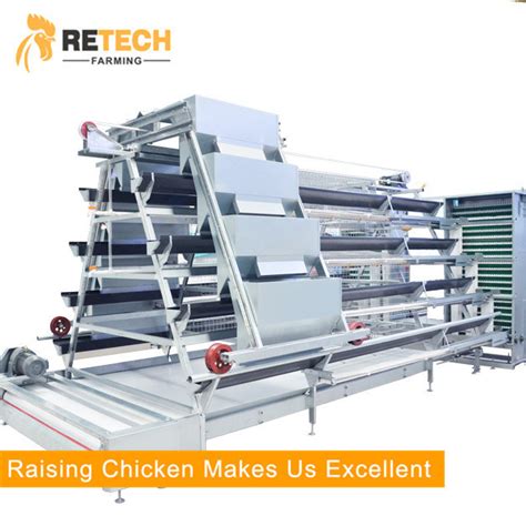 Design High Quality Steel Galvanized H Type Automatic Chicken Egg