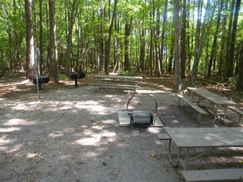 Falls Lake State Recreation Area Shinleaf Campground Wake Forest Nc