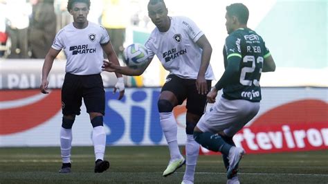 Botafogo X Palmeiras Gato Vidente Revela Quem Vencer Jogo Decisivo