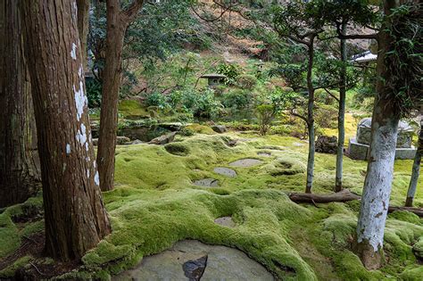 功山寺 苔庭の美しい寺院（山口県下関市） 庭園ガイド