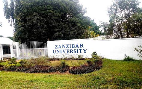 Africa Tech Schools | Zanzibar University