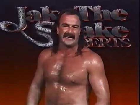 Jake Roberts Promo On Rick Rude 08 28 1988 YouTube