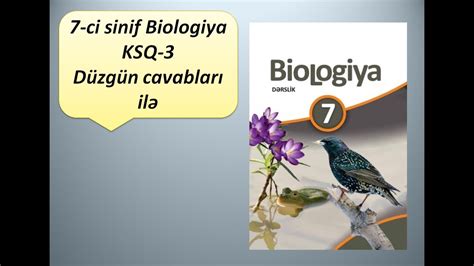 7 ci sinif Biologiya KSQ 3 Düzgün cavabları ilə YouTube