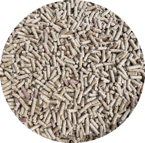 Swedfed All In Pellets 20 Kg Foder And Foderråvaror HÄst