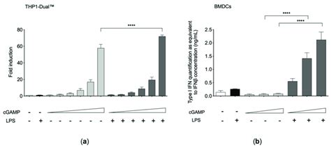 A Type I Interferon IFN Pathway Activation In THP1 Dual Cells