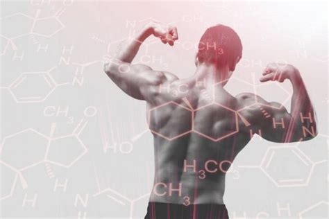 The Influence of Hormones on Muscle Growth and Development ...