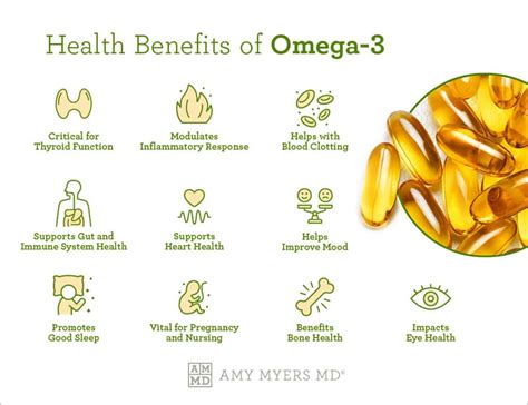 The Omega-3 Benefits For Men | Amy Myers MD