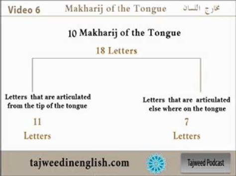 07/16 Tajweed in English - Introduction to the tongue makhraj - YouTube