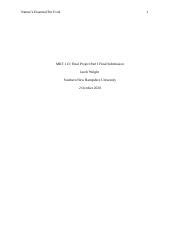 Mkt Fp Part I Final Submission Template Docx Nature S Essential