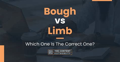 Bough vs Limb: Which One Is The Correct One?