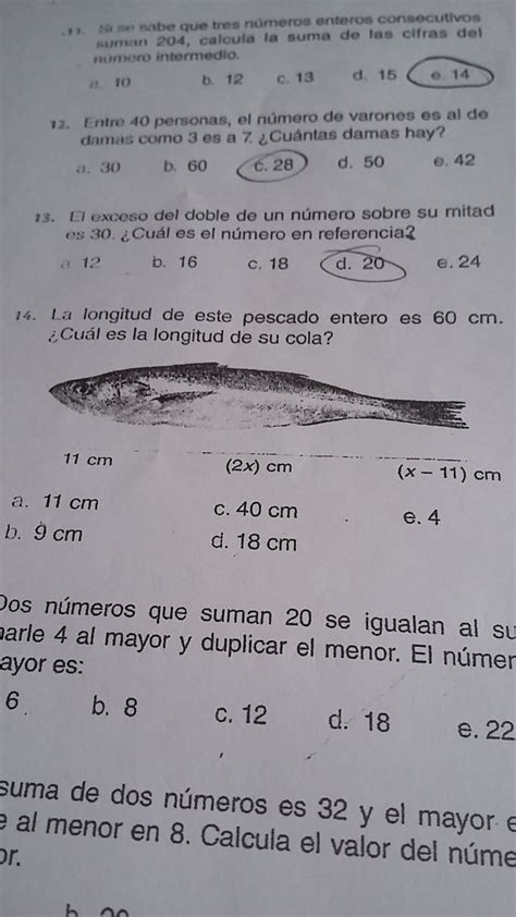 La Longitud De Este Pescado Entero Es 60 Cm Cual Es La Longitud De La