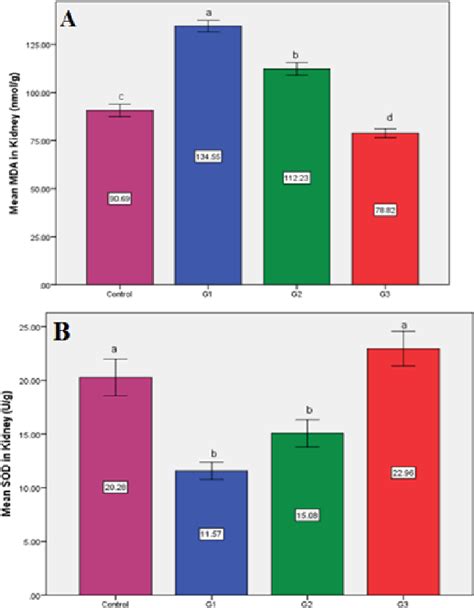 Figure 2 From Renal Ameliorating Effect Of Resveratrol In Hydrogen