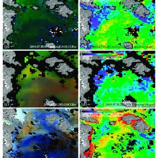 Rrs True Color Composite And Spectral Shape Images Collected By Various