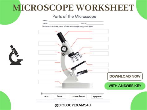 Microscope Parts Worksheet | Teaching Resources