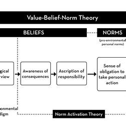 The Value-Belief-Norm Theory (Stern, 2000) | Download Scientific Diagram