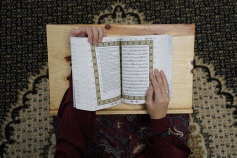 What is The Best Translated Quran? What You Must Know! - Studio Arabiya