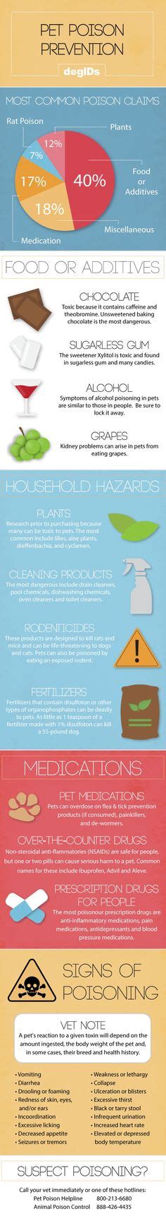 23 Poison Prevention ideas | poison prevention, pet poison, pets