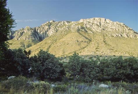 guadalupe mountains np
