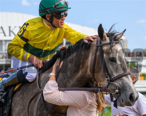 Black Eyed Susan And Preakness Stakes Days Bloodhorse Photo Store