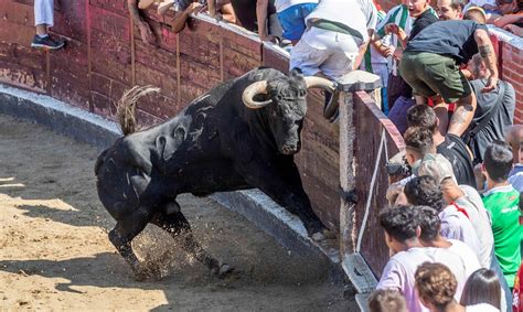 Espa A Un Toro Salta A La Tribuna Y Hiere A Casi Una Veintena De