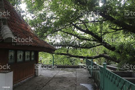 prince jayakarta mosque stock photo  image  colonial