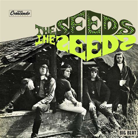 The Seeds ‘the Seeds 1966 Its Psychedelic Baby Magazine