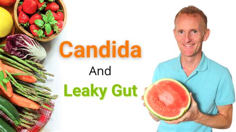 Leaky Gut And Candida How To Rebuild Your Gut Health Naturally