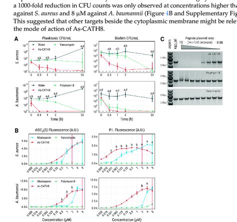 Bacterial Killing Rate Membrane Depolarization And Permeabilization Download Scientific