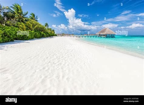 Wide Sandy Beach On A Tropical Island In Maldives Palms And Water