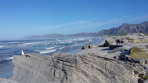 Grotto Beach De Kelders Walk South Africa