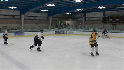 Hockey Belongs 2 Everyone Group At Rosevilles Skatetown Aims To Expand