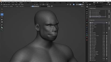 3d Model Customizable Rigged Male Base Mesh With Shape Library Vr Ar Low Poly Cgtrader