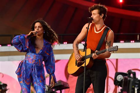 Why Did Shawn Mendes And Camila Cabello Break Up