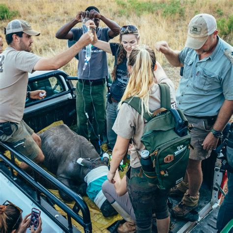 Best 13 Learn on the Job | African Conservation Experience – Artofit