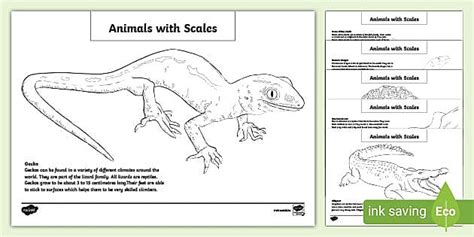 Animals with Scales | Colouring Sheets | Primary Resources