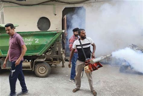 Dengue Cases Cross 600 Fogging Intensified The Tribune