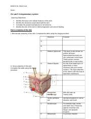 S TORRES Online Labs Week 5 Integumentary System Lab Docx BIOS251 OL