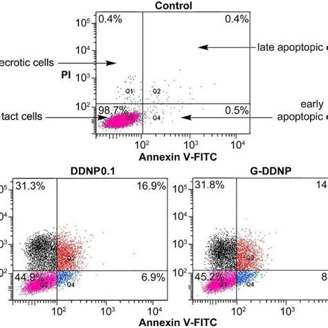 Activity Of Caspase Of Smmc Liver Cancer Cells After Incubation