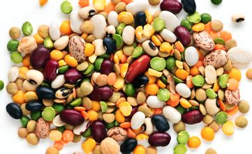 EFSA Positive Opinion On The Safety Of Mung Bean Protein As A Novel