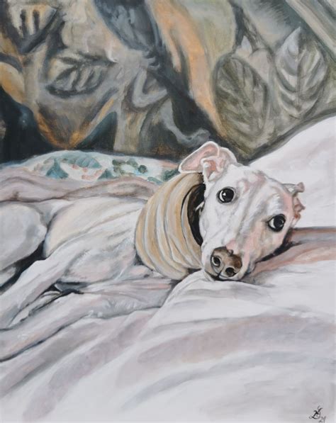 Bild Hund Bettdecke Windhund Whippet Von Heike Deininger Kunstnet