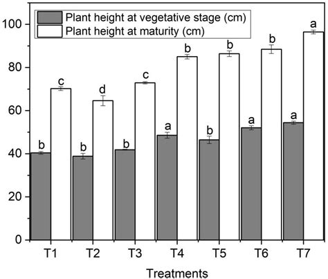 Frontiers Zinc Oxide Nanoparticles Improved Chlorophyll Contents