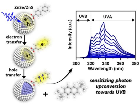 Znse Zns Core Shell Quantum Dots As Triplet Sensitizers Toward Visible To Ultraviolet B Photon