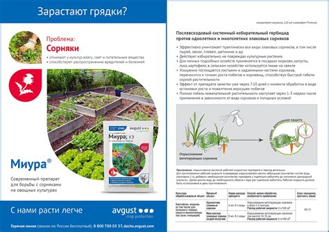 Миура® – купить препарат Миура® оптом по цене производителя «АВГУСТ»
